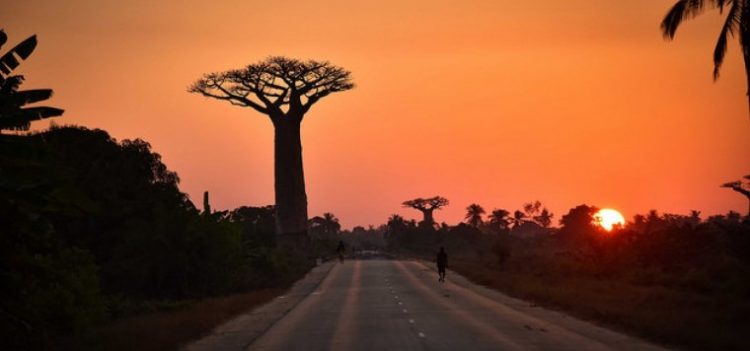Image: A highway in Madagascar (Rod Waddington): Courtesy of Monkey Cage Blog.