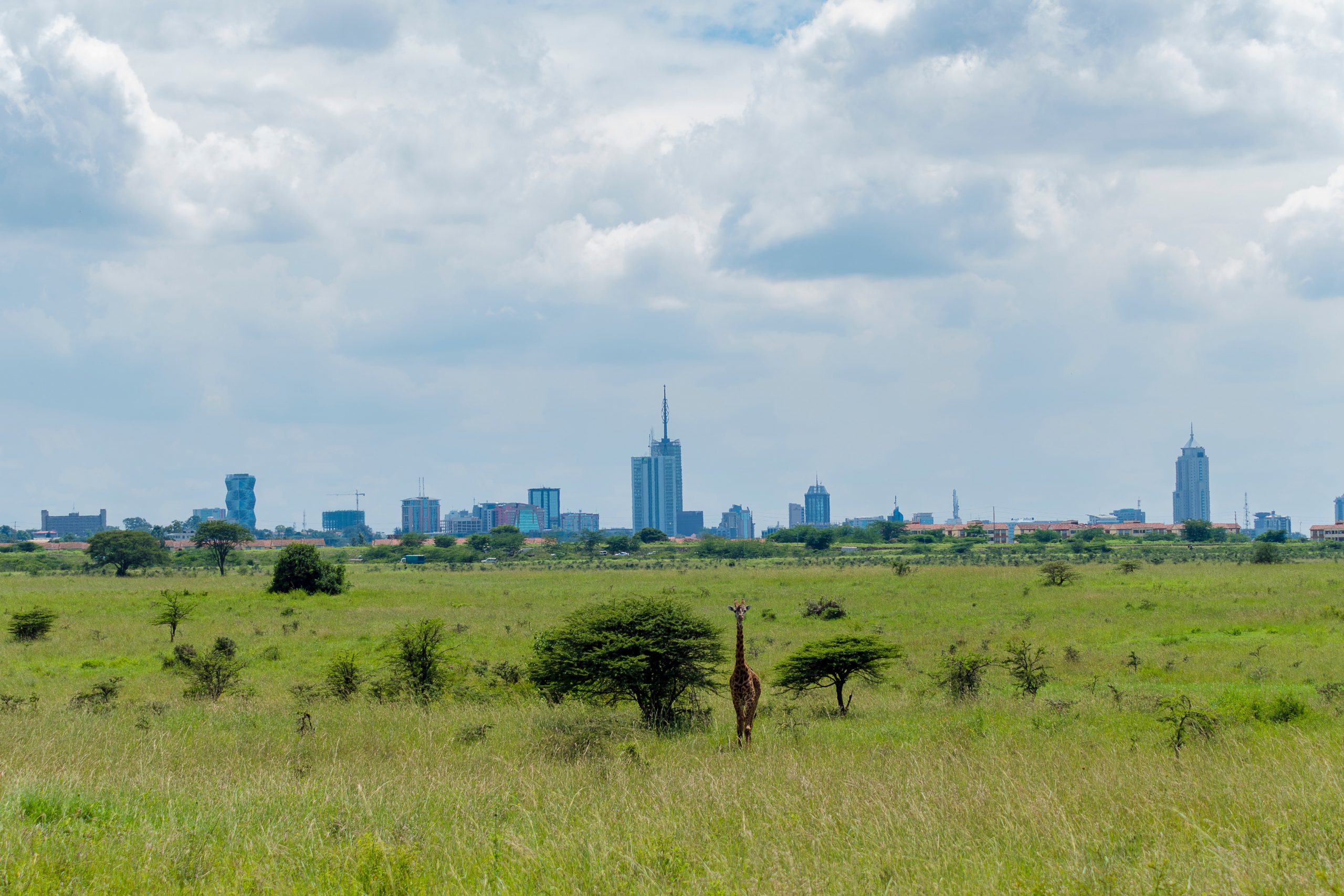 Nairobi National Park Gate, Nairobi, Kenya